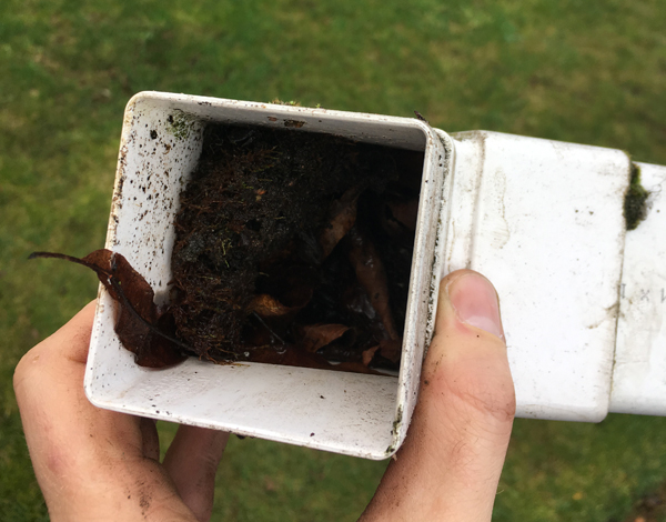 Gutter Cleaning Peterborough - Leaves causing chaos!