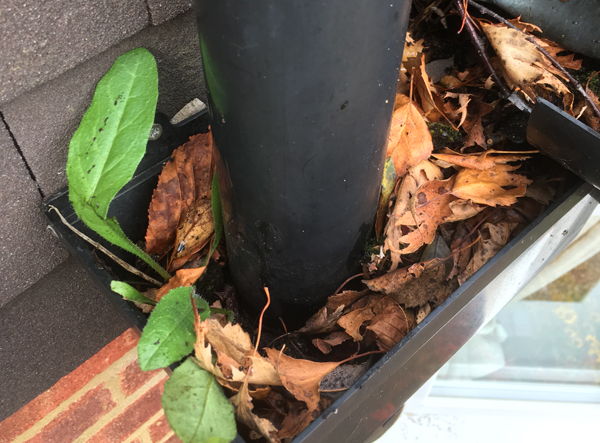 Blocked hopper from leaves