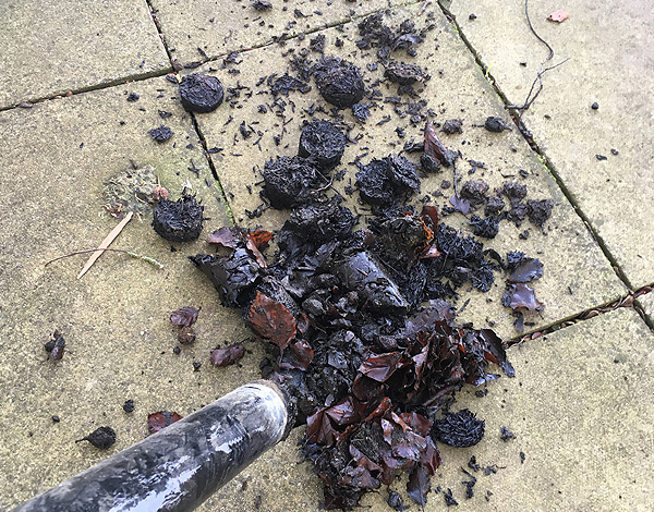When Should You Have Your Gutters Cleaned In Peterborough?