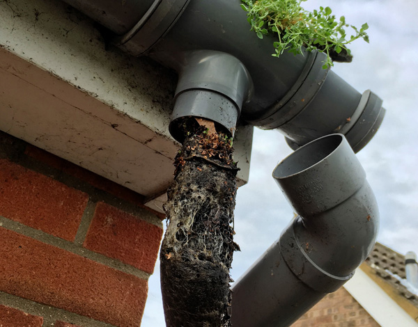 When Should You Have Your Gutters Cleaned In Peterborough?