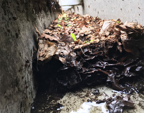 Four Reasons Commercial Gutter Cleaning Is Essential