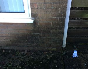 A damp wall caused by a blocked gutter outlet