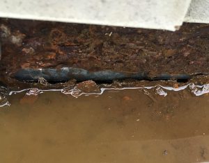 A leaking commercial gutter
