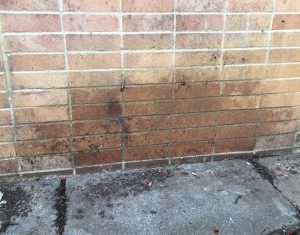 Damp patch caused by a leaking gutter