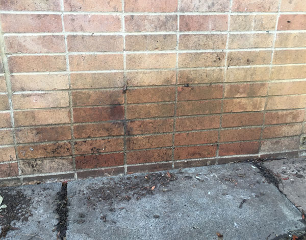 Damp patch caused by a leaking gutter