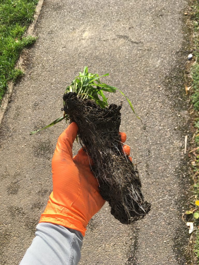 Gutter Cleaning Peterborough - Look Up For The Common Signs Of Blocked Gutters
