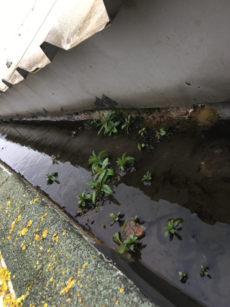 Have Your Commercial Guttering Cleaned Professionally
