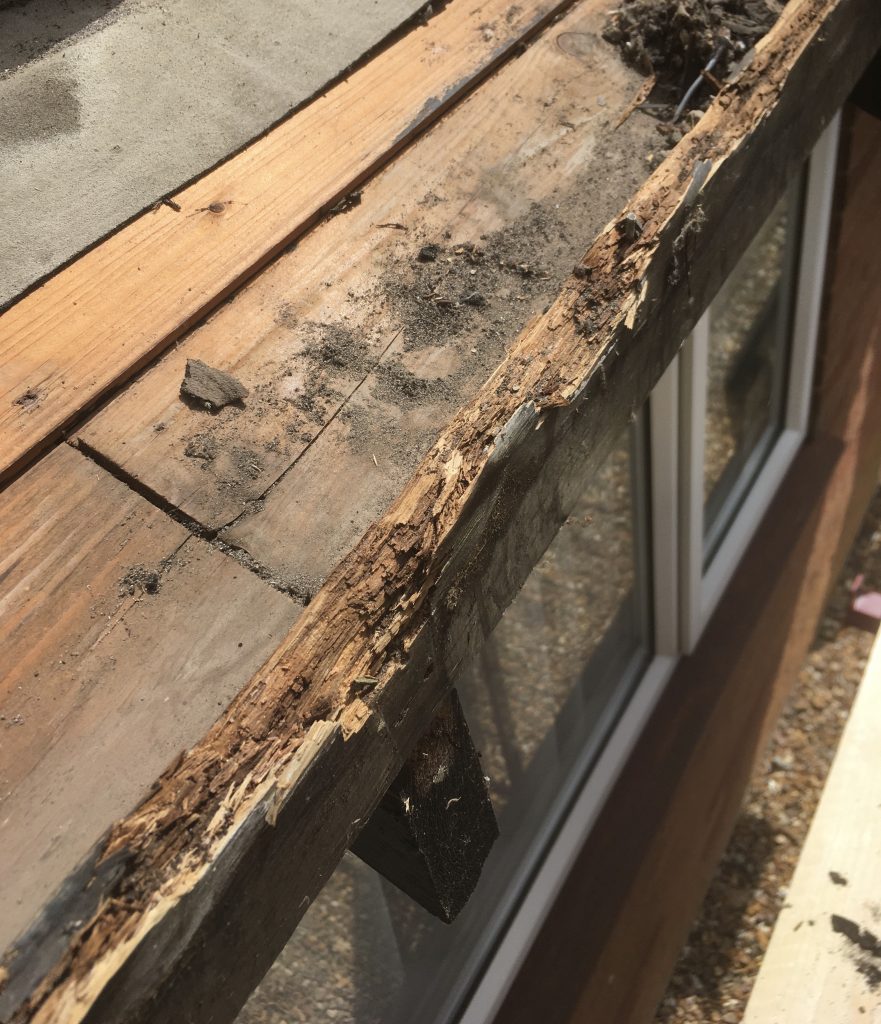 A rotten fascia board