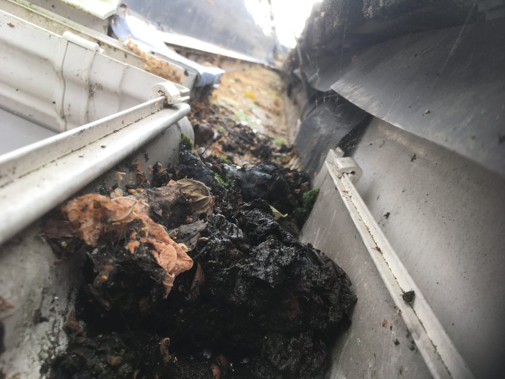 Leaves blocking up a gutter