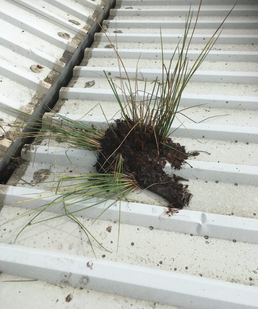 Why Commercial Gutters Are Important Business