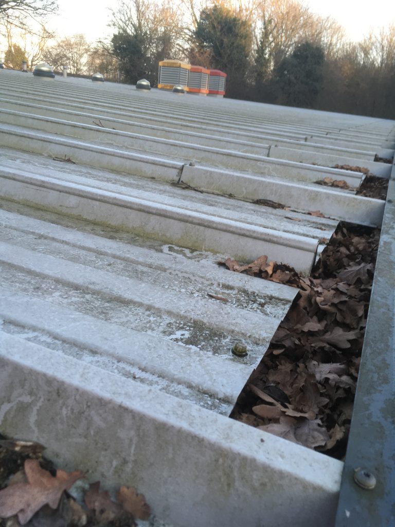 What’s Lurking In Your Gutters?