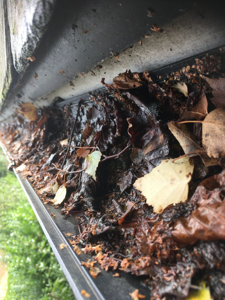 Full gutters